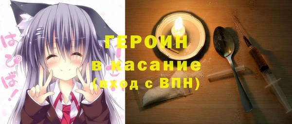 индика Арсеньев