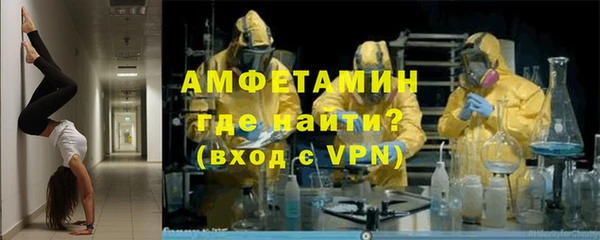 индика Арсеньев