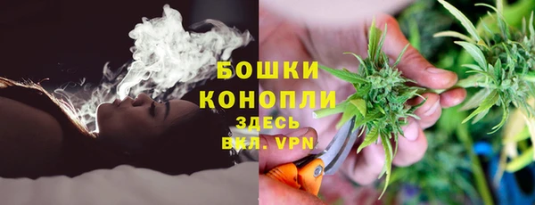 индика Арсеньев