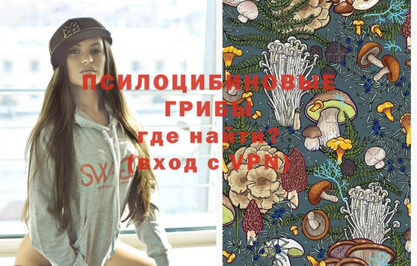 стафф Аркадак