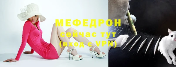 стафф Аркадак