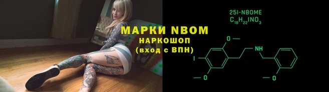 стафф Аркадак