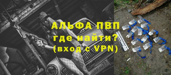 индика Арсеньев