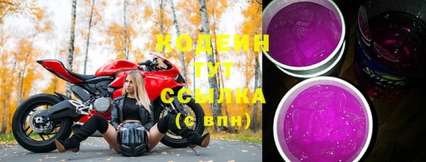 индика Арсеньев