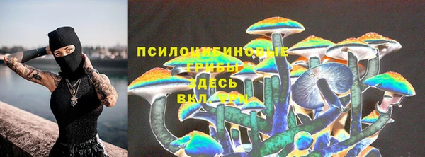 стафф Аркадак