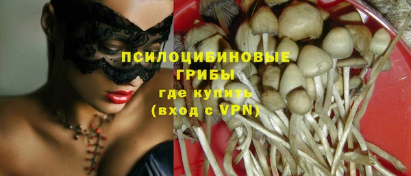 стафф Аркадак