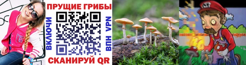 Псилоцибиновые грибы прущие грибы Суворов